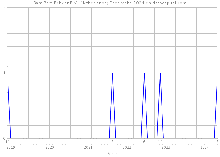 Bam Bam Beheer B.V. (Netherlands) Page visits 2024 