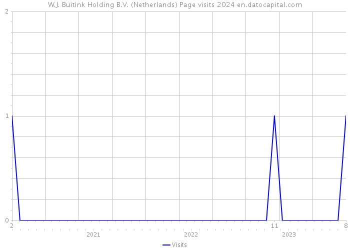 W.J. Buitink Holding B.V. (Netherlands) Page visits 2024 