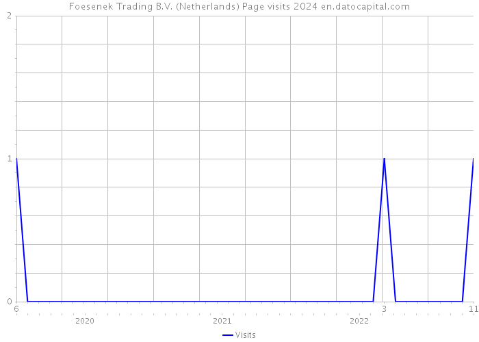 Foesenek Trading B.V. (Netherlands) Page visits 2024 