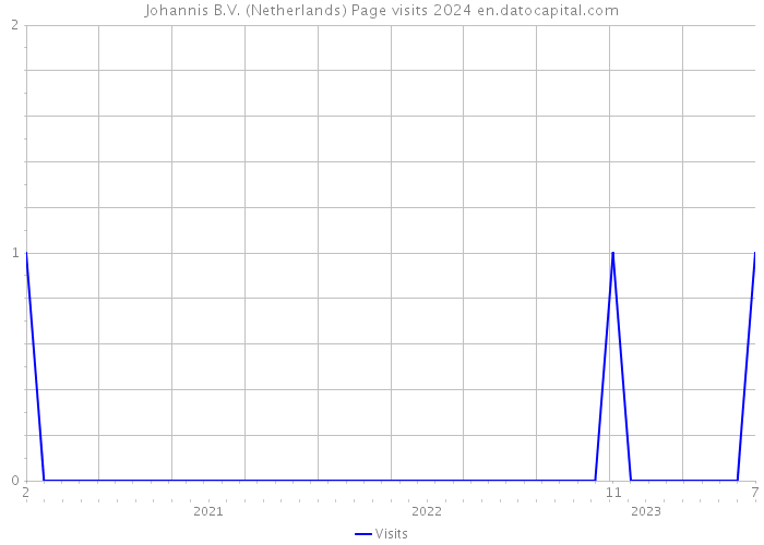 Johannis B.V. (Netherlands) Page visits 2024 