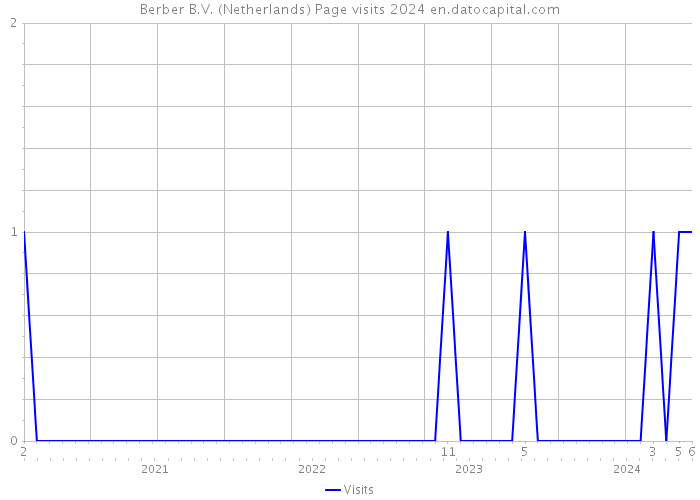 Berber B.V. (Netherlands) Page visits 2024 