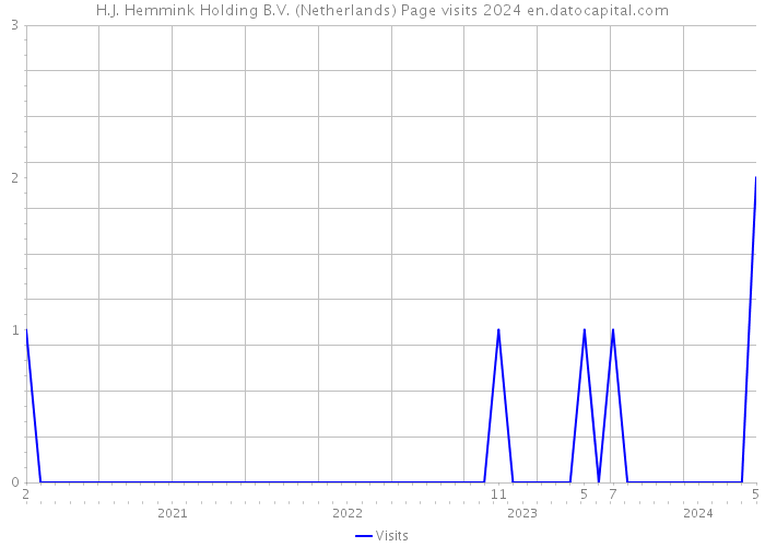H.J. Hemmink Holding B.V. (Netherlands) Page visits 2024 