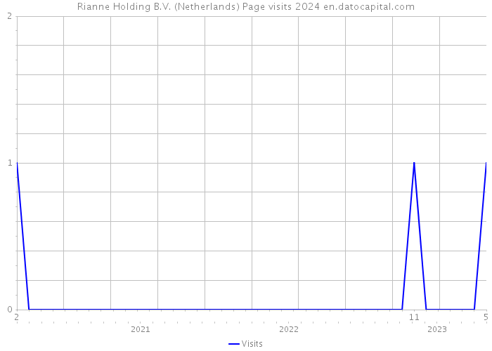 Rianne Holding B.V. (Netherlands) Page visits 2024 