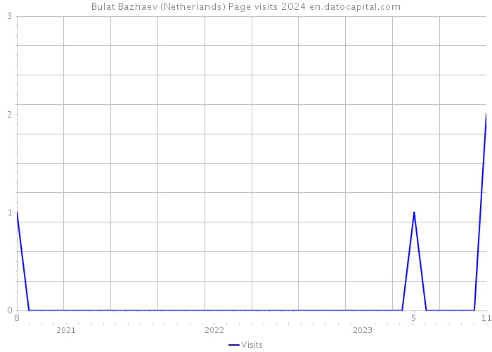 Bulat Bazhaev (Netherlands) Page visits 2024 