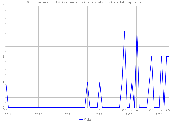 DGRP Hamershof B.V. (Netherlands) Page visits 2024 
