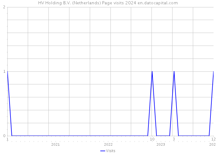 HV Holding B.V. (Netherlands) Page visits 2024 