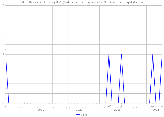 M.T. Bakkers Holding B.V. (Netherlands) Page visits 2024 