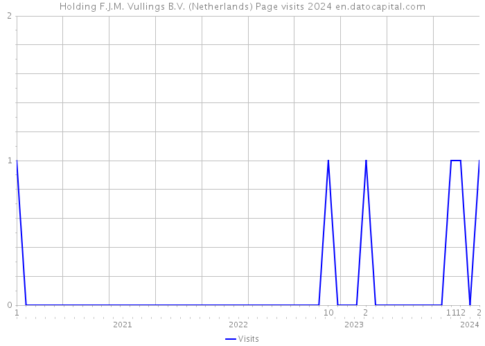 Holding F.J.M. Vullings B.V. (Netherlands) Page visits 2024 