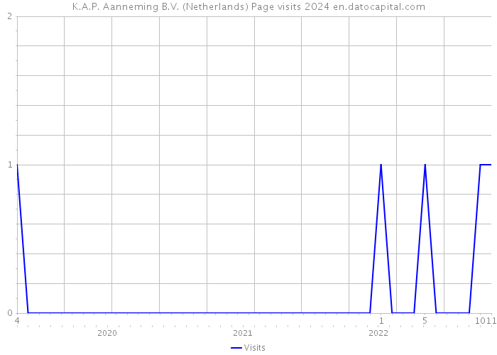 K.A.P. Aanneming B.V. (Netherlands) Page visits 2024 