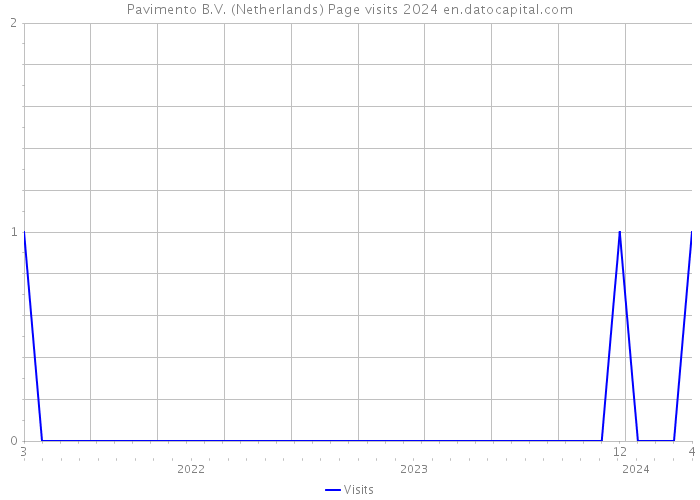 Pavimento B.V. (Netherlands) Page visits 2024 