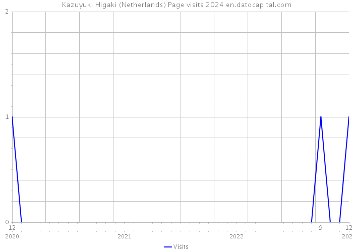 Kazuyuki Higaki (Netherlands) Page visits 2024 