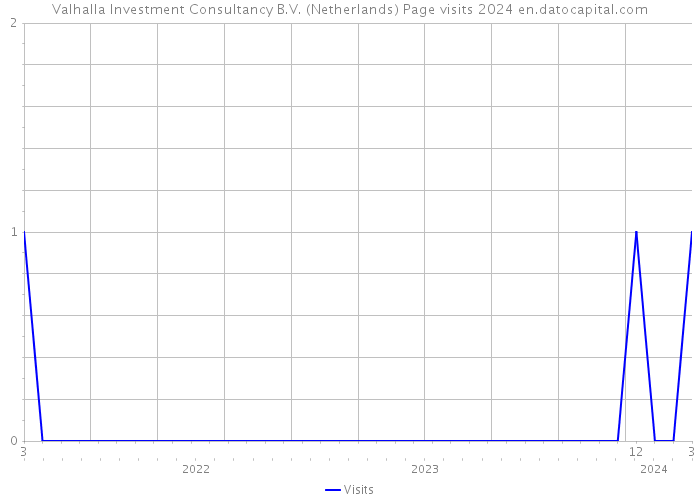 Valhalla Investment Consultancy B.V. (Netherlands) Page visits 2024 