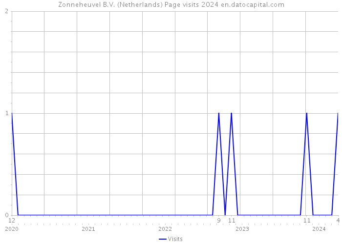 Zonneheuvel B.V. (Netherlands) Page visits 2024 