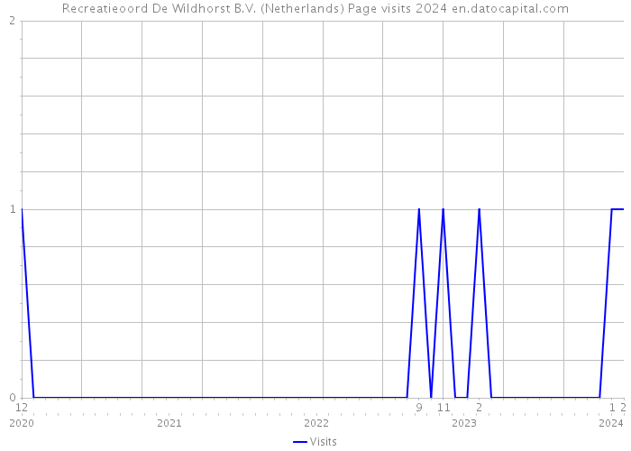 Recreatieoord De Wildhorst B.V. (Netherlands) Page visits 2024 