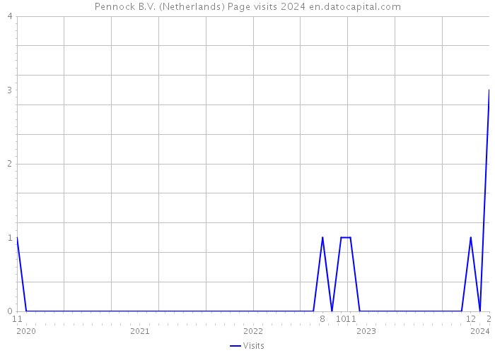 Pennock B.V. (Netherlands) Page visits 2024 