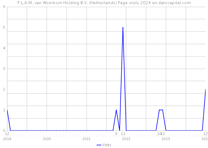 F.L.A.M. van Woerkom Holding B.V. (Netherlands) Page visits 2024 