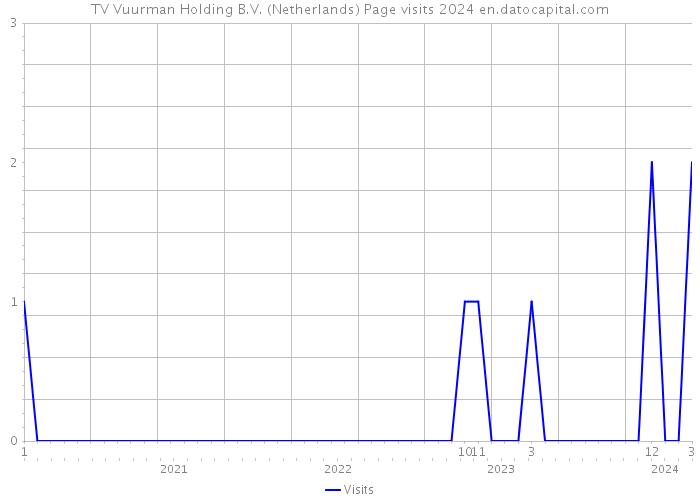 TV Vuurman Holding B.V. (Netherlands) Page visits 2024 