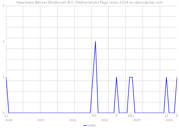 Haarmans Beheer Eindhoven B.V. (Netherlands) Page visits 2024 