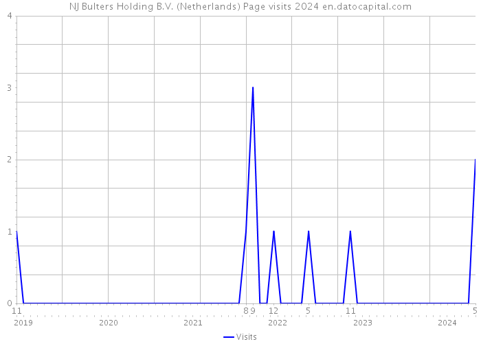 NJ Bulters Holding B.V. (Netherlands) Page visits 2024 