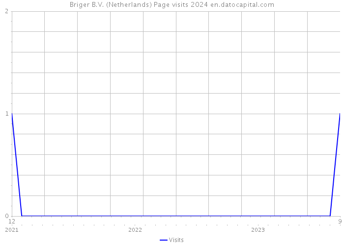 Briger B.V. (Netherlands) Page visits 2024 
