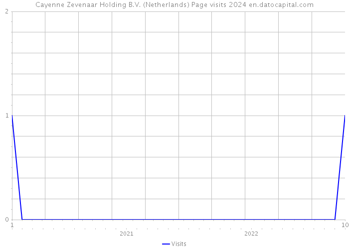 Cayenne Zevenaar Holding B.V. (Netherlands) Page visits 2024 