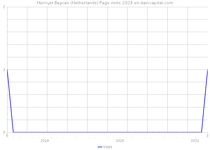Hürriyet Bagcan (Netherlands) Page visits 2024 