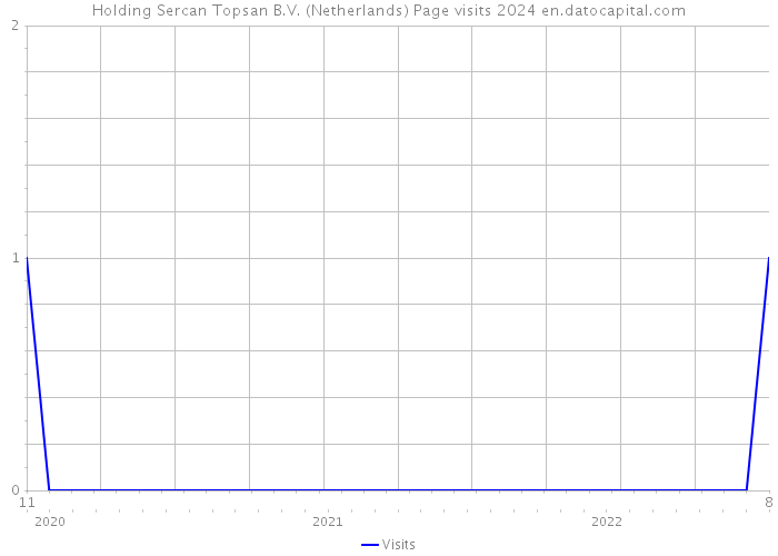 Holding Sercan Topsan B.V. (Netherlands) Page visits 2024 