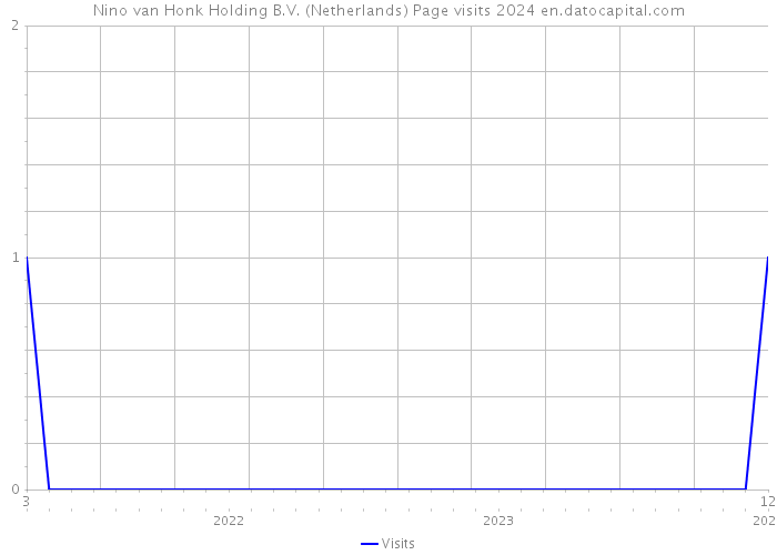 Nino van Honk Holding B.V. (Netherlands) Page visits 2024 