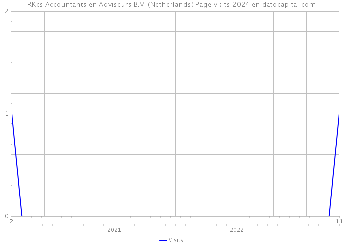 RKcs Accountants en Adviseurs B.V. (Netherlands) Page visits 2024 