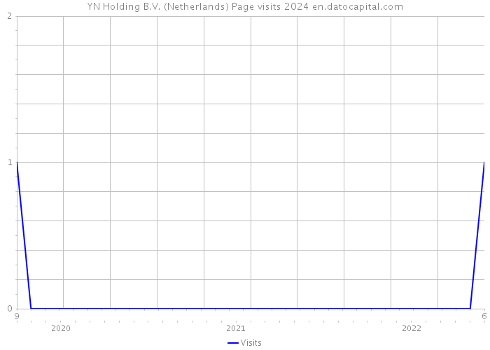 YN Holding B.V. (Netherlands) Page visits 2024 