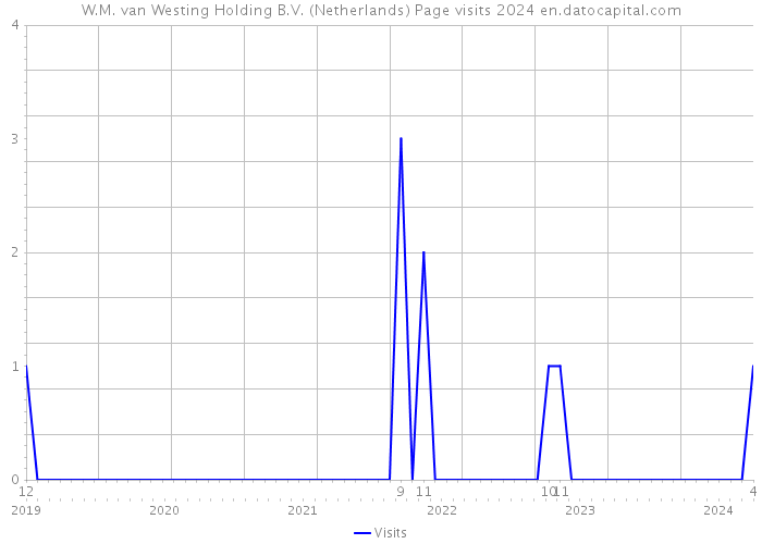 W.M. van Westing Holding B.V. (Netherlands) Page visits 2024 