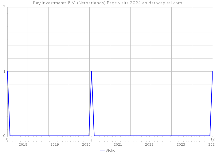 Ray Investments B.V. (Netherlands) Page visits 2024 