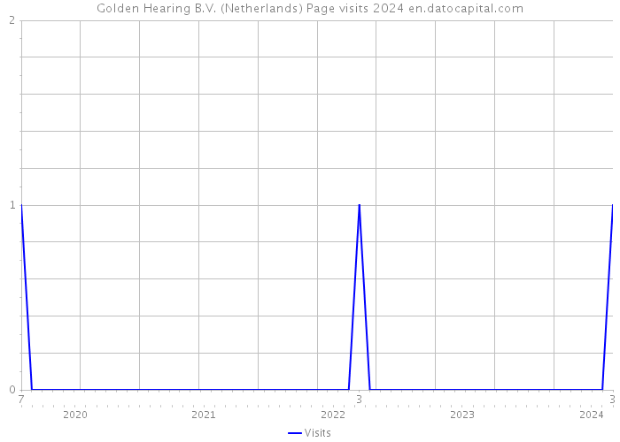 Golden Hearing B.V. (Netherlands) Page visits 2024 