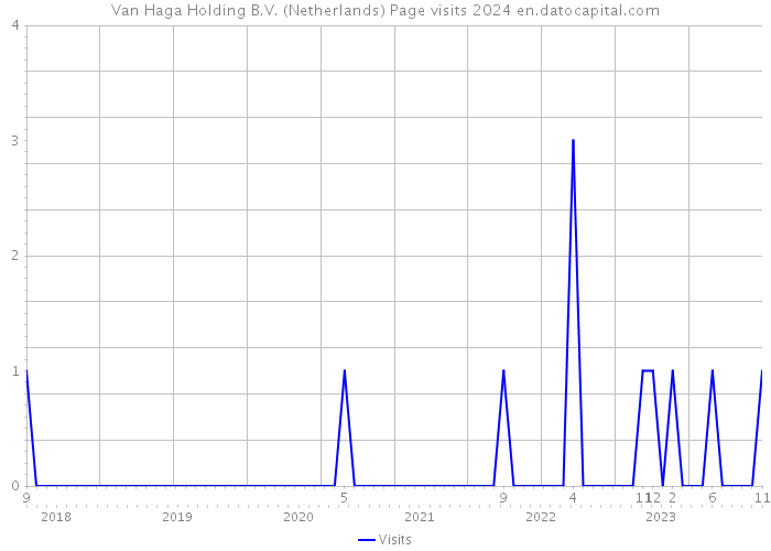 Van Haga Holding B.V. (Netherlands) Page visits 2024 