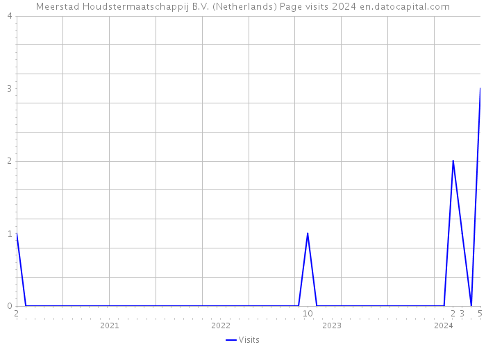 Meerstad Houdstermaatschappij B.V. (Netherlands) Page visits 2024 