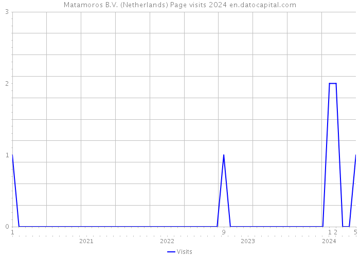 Matamoros B.V. (Netherlands) Page visits 2024 