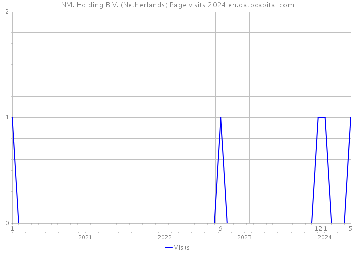NM. Holding B.V. (Netherlands) Page visits 2024 