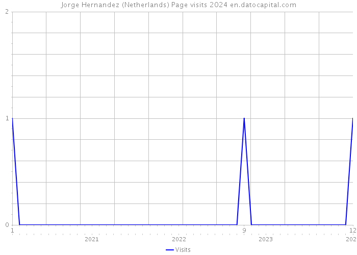 Jorge Hernandez (Netherlands) Page visits 2024 