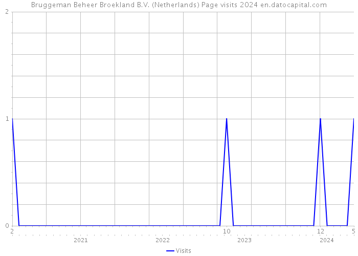 Bruggeman Beheer Broekland B.V. (Netherlands) Page visits 2024 