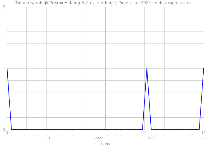 Tandartspraktijk Prisma Holding B.V. (Netherlands) Page visits 2024 