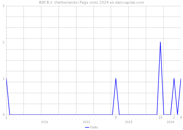 BSR B.V. (Netherlands) Page visits 2024 
