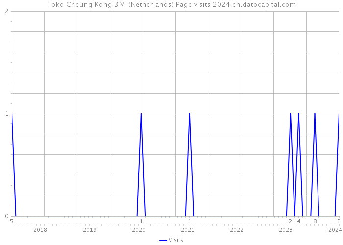 Toko Cheung Kong B.V. (Netherlands) Page visits 2024 