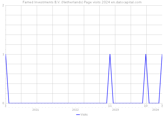 Famed Investments B.V. (Netherlands) Page visits 2024 