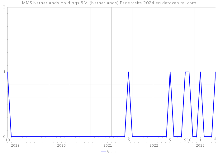 MMS Netherlands Holdings B.V. (Netherlands) Page visits 2024 