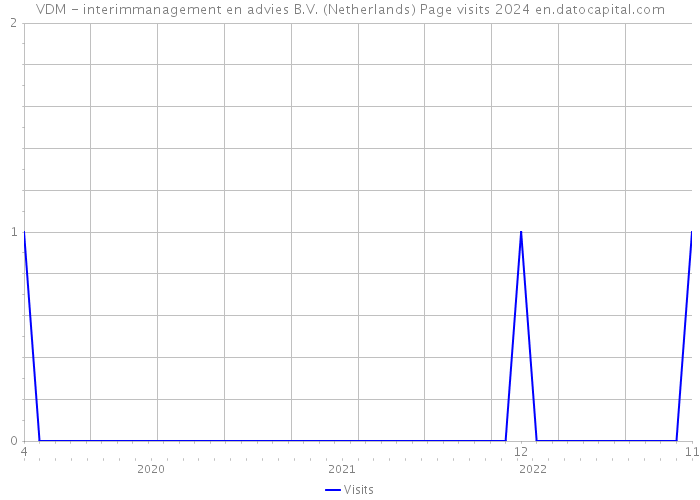 VDM - interimmanagement en advies B.V. (Netherlands) Page visits 2024 