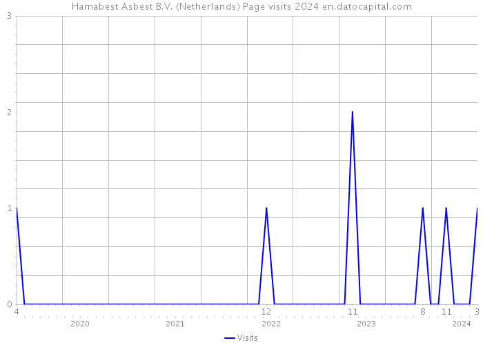 Hamabest Asbest B.V. (Netherlands) Page visits 2024 