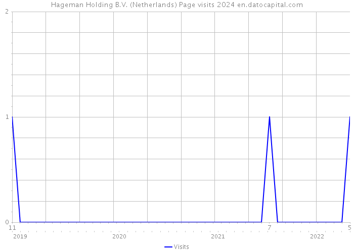 Hageman Holding B.V. (Netherlands) Page visits 2024 