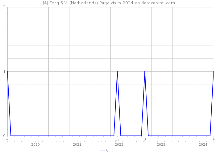 JJ&J Zorg B.V. (Netherlands) Page visits 2024 
