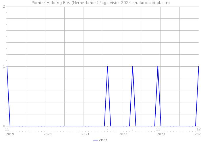 Pionier Holding B.V. (Netherlands) Page visits 2024 