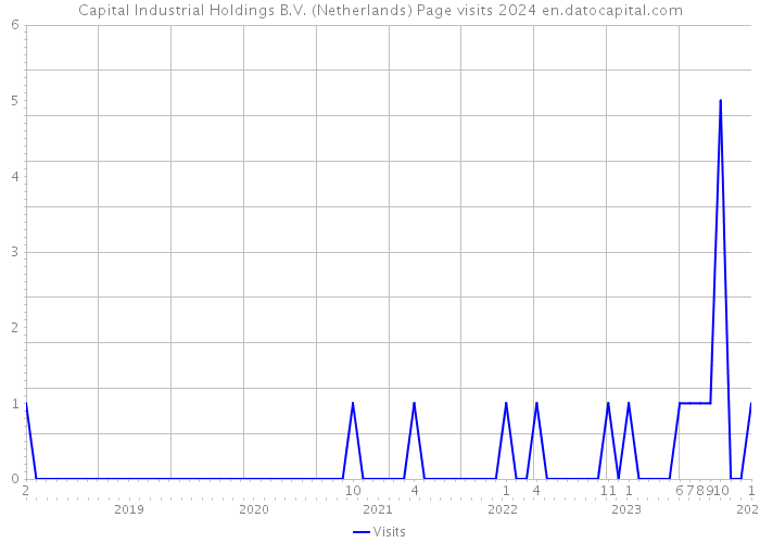 Capital Industrial Holdings B.V. (Netherlands) Page visits 2024 